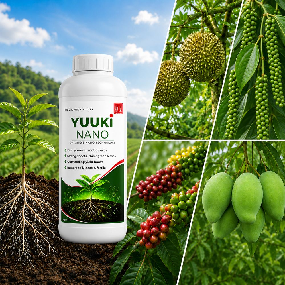 ជី YUUKI NANO ជាមួយដំណាំ ទុរេន ម្រេច កាហ្វេ និងស្វាយ